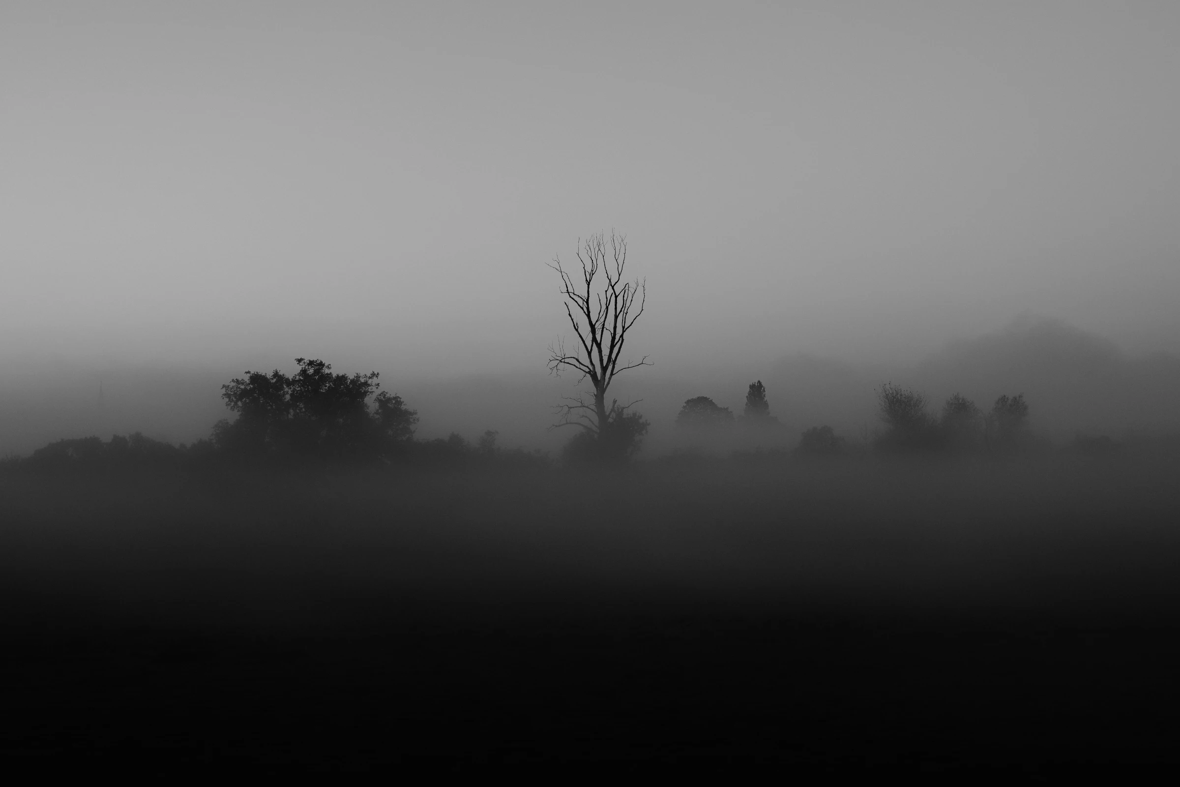 Quintecent-Fotografie-Bild-01